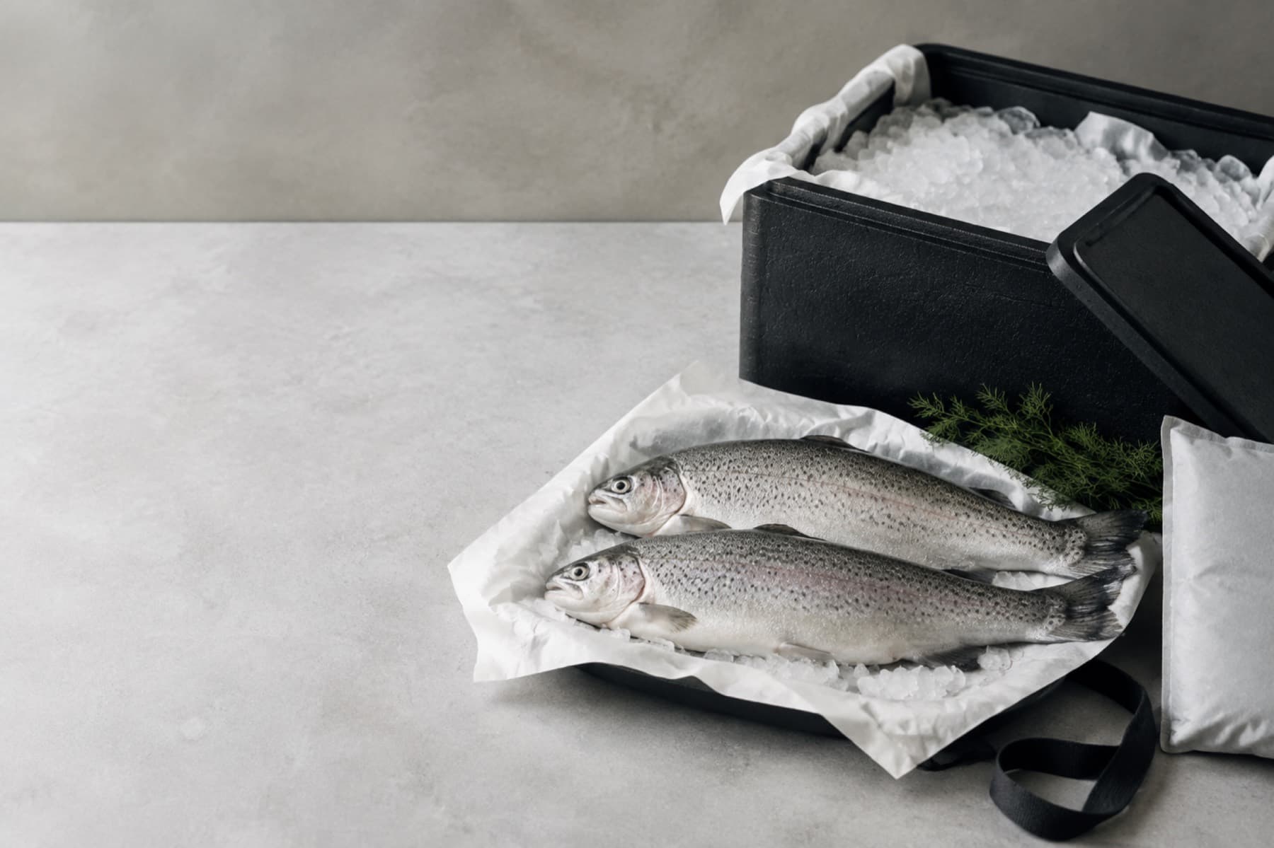 Trout on ice